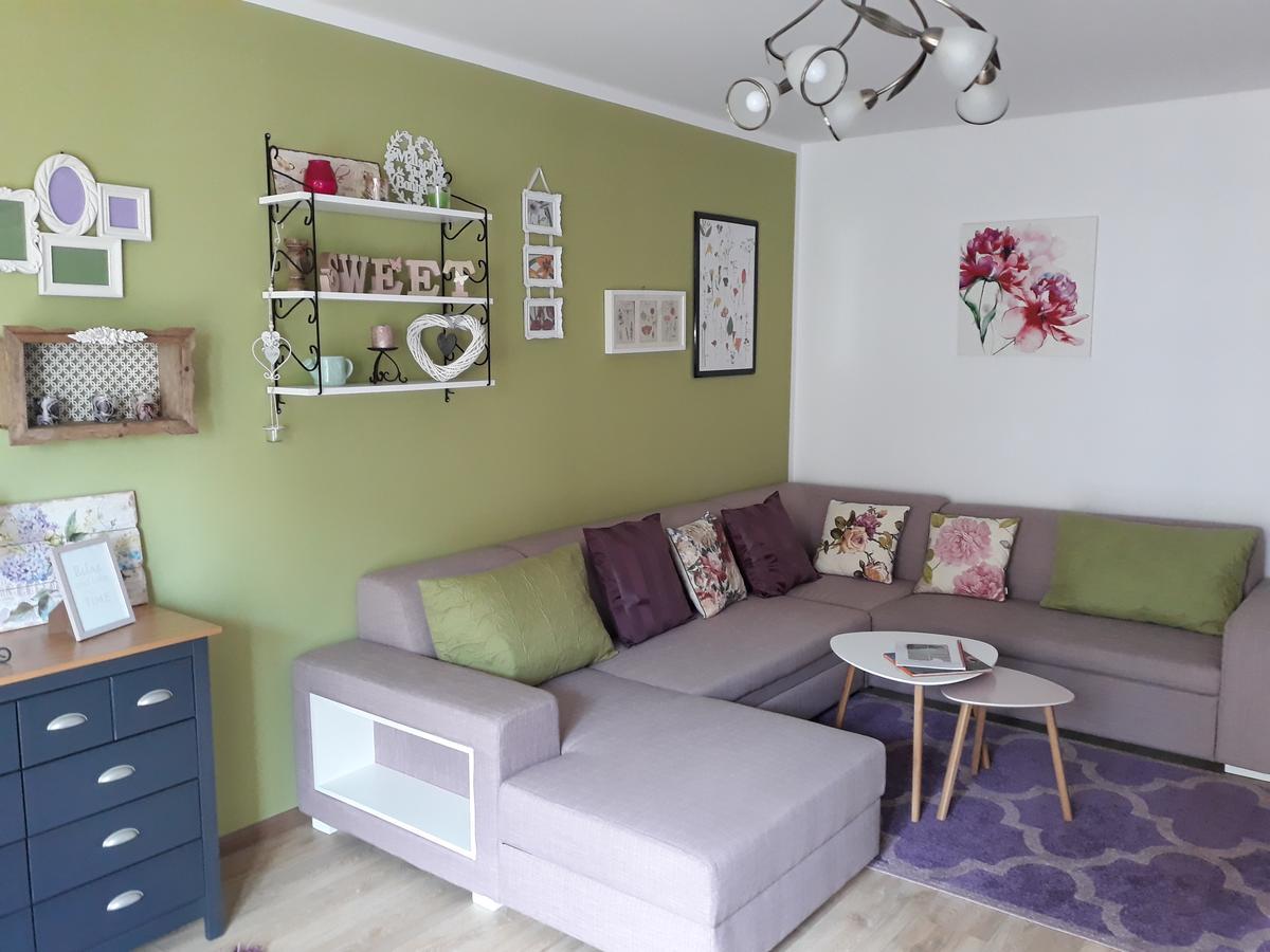 Sweet Garden Residence 브라쇼브 외부 사진