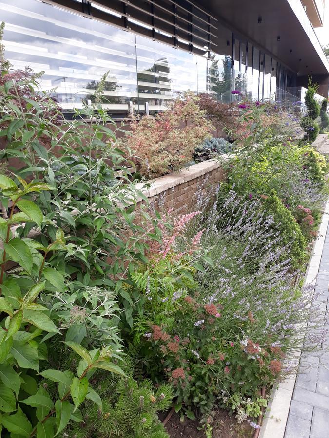Sweet Garden Residence 브라쇼브 외부 사진