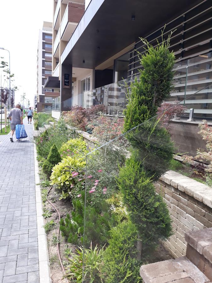 Sweet Garden Residence 브라쇼브 외부 사진